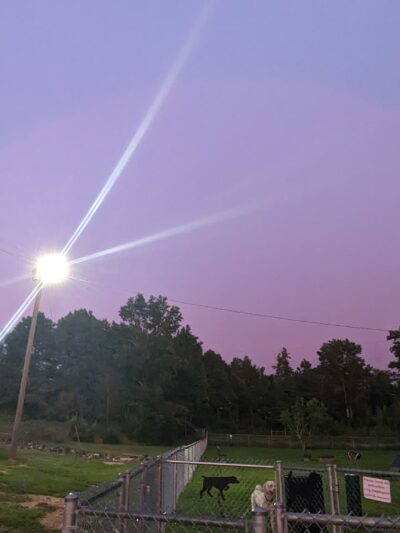 Goodale Dog Park - Grovetown, GA