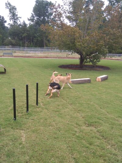 Goodale Dog Park - Grovetown, GA