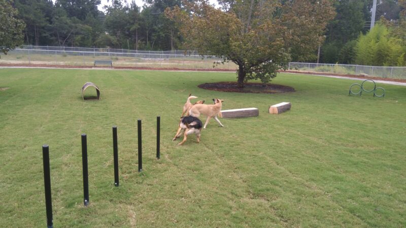 Goodale Dog Park - Grovetown, GA