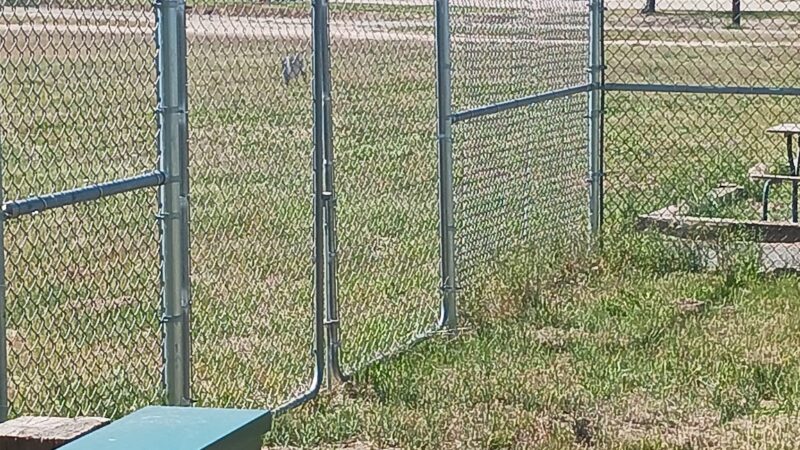 Watch Dog Park - Guernsey, WY