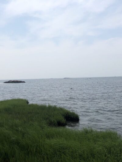 Chaffinch Island Park - Guilford, CT