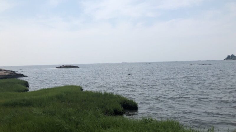 Chaffinch Island Park - Guilford, CT