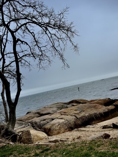 Chaffinch Island Park - Guilford, CT