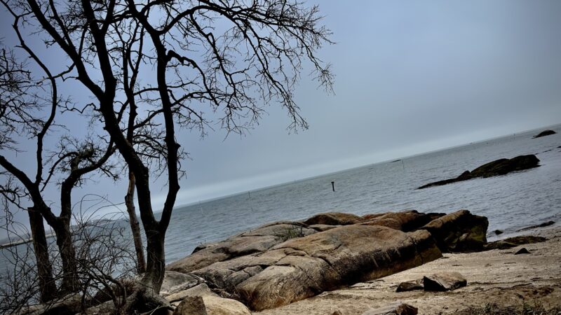 Chaffinch Island Park - Guilford, CT