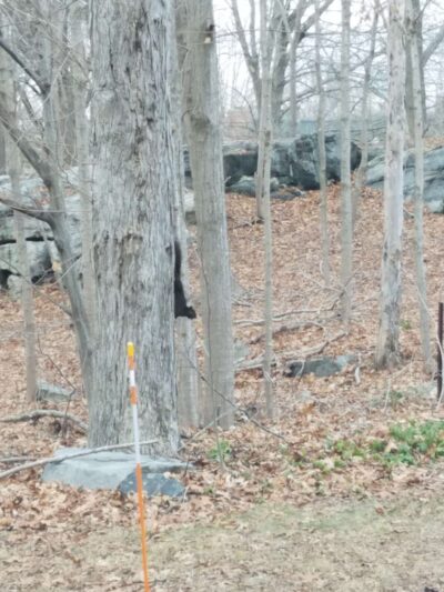 Nut Plains Park - Guilford, CT