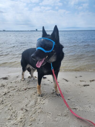 Shoreline Park - Gulf Breeze, FL