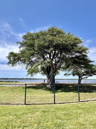 Dog Park - Gulf Shores, AL