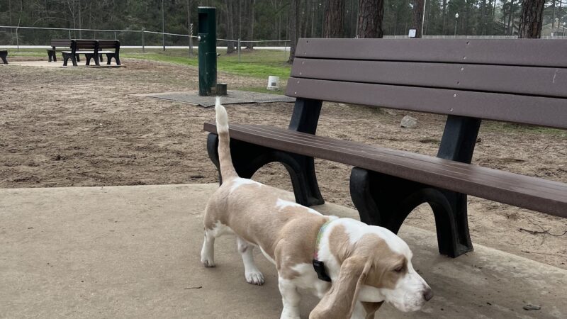 Gulf Shores Dog Park - Gulf Shores, AL