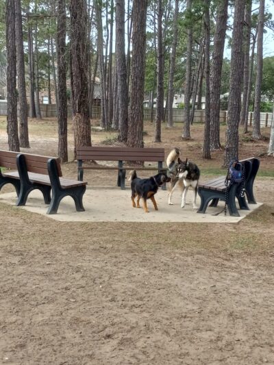 Gulf Shores Dog Park - Gulf Shores, AL