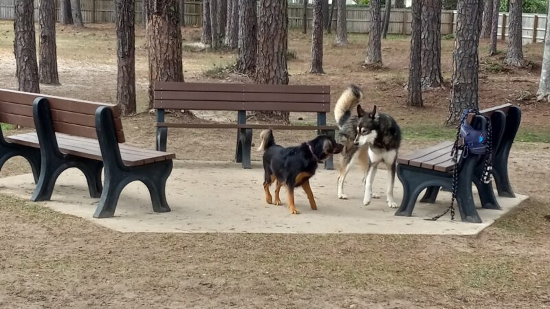 Gulf Shores Dog Park - Gulf Shores, AL