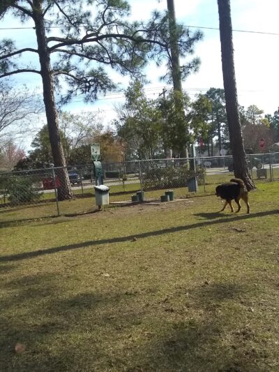 Gulf Shores Dog Park - Gulf Shores, AL