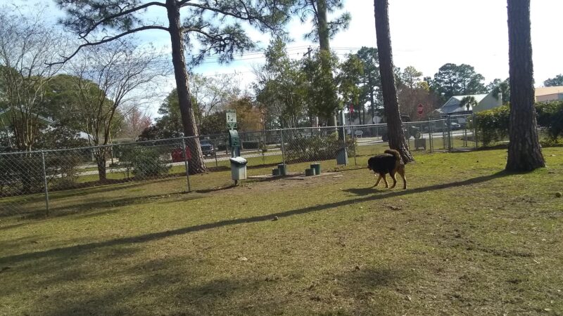 Gulf Shores Dog Park - Gulf Shores, AL