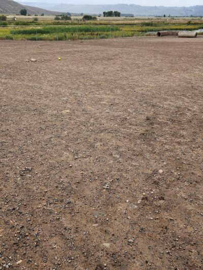 Dog Park - Gunnison, CO