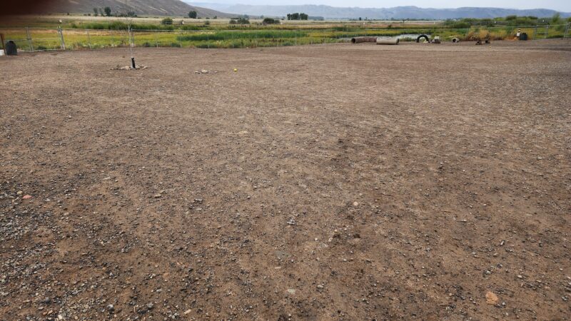 Dog Park - Gunnison, CO