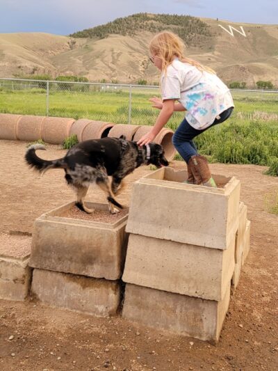 Dog Park - Gunnison, CO