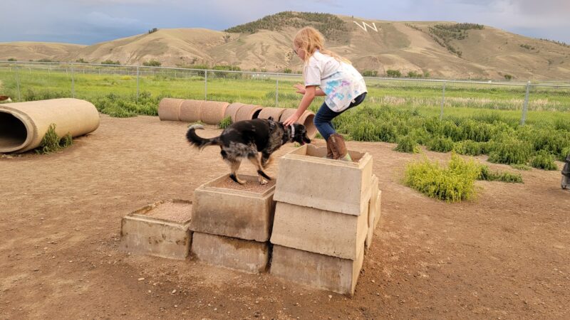 Dog Park - Gunnison, CO