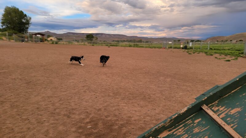 Dog Park - Gunnison, CO