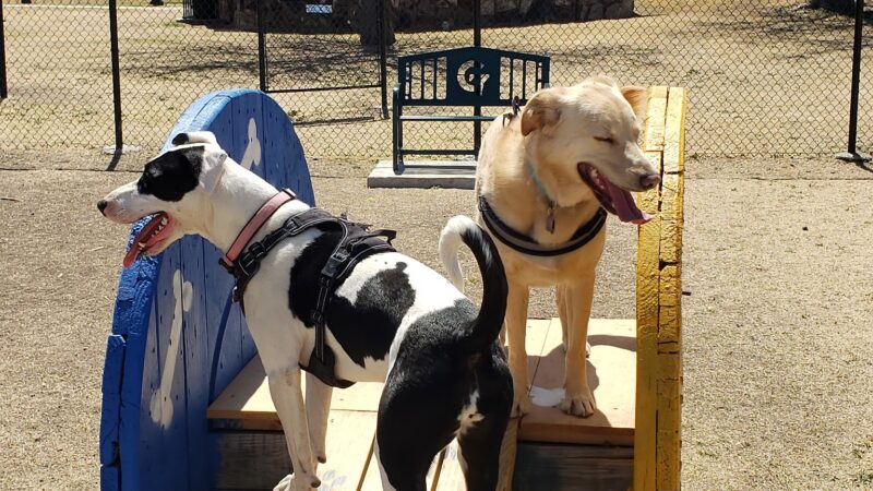 NASH Dog Park - Guymon, OK