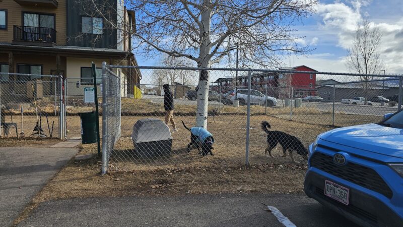 Dog Park - Gypsum, CO