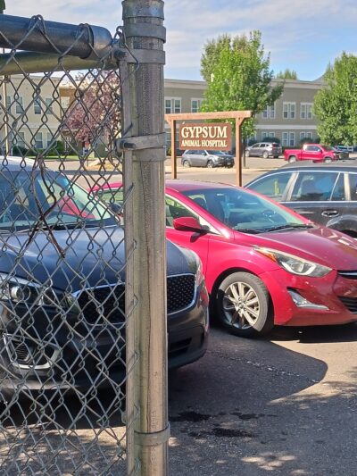 Dog Park - Gypsum, CO