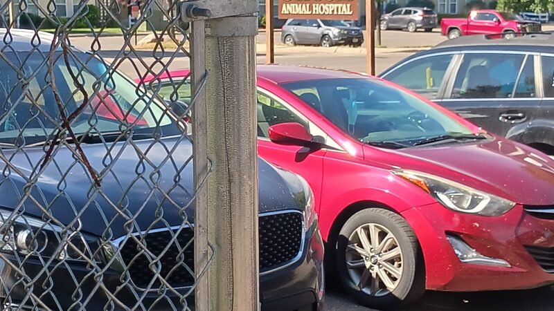 Dog Park - Gypsum, CO