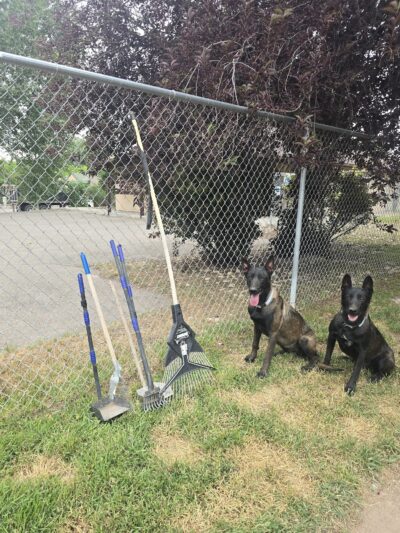 Dog Park - Gypsum, CO