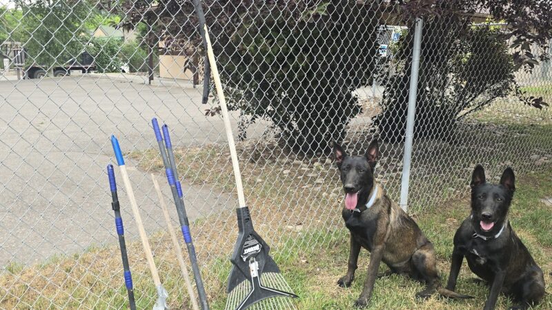 Dog Park - Gypsum, CO