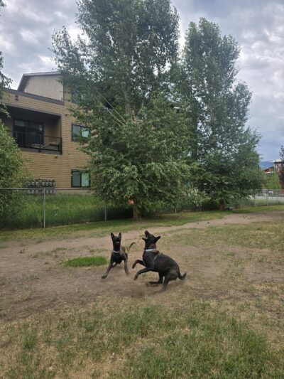 Dog Park - Gypsum, CO