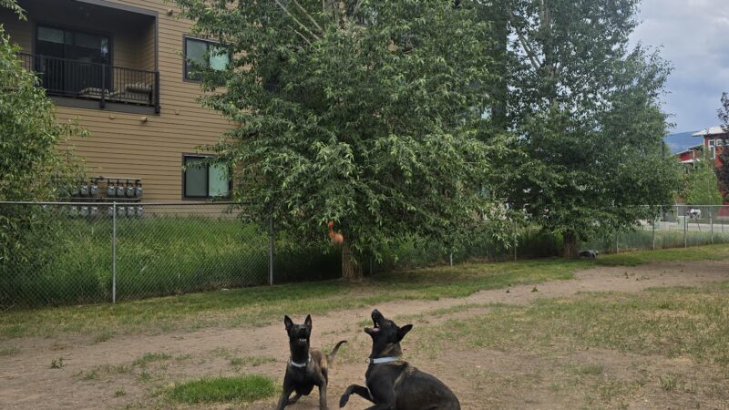 Dog Park - Gypsum, CO