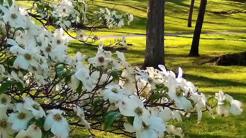 Doubs Woods Park - Hagerstown, MD