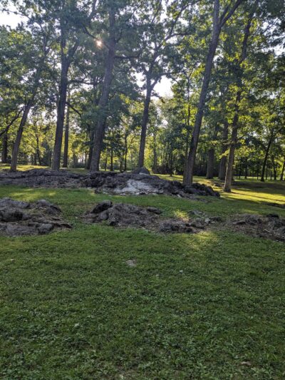 Doubs Woods Park - Hagerstown, MD