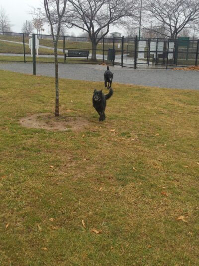 Fairgrounds Park - Hagerstown, MD