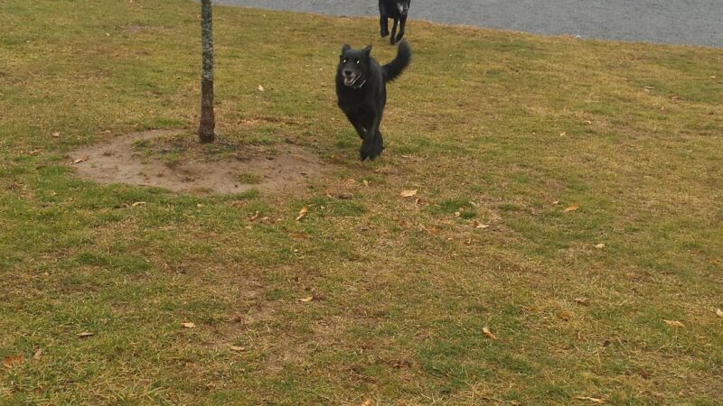 Fairgrounds Park - Hagerstown, MD