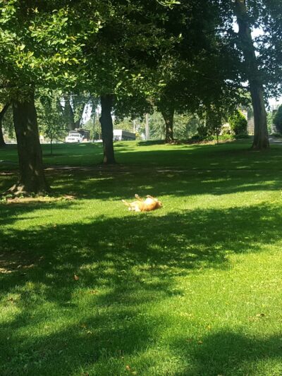 Hager Park - Hagerstown, MD