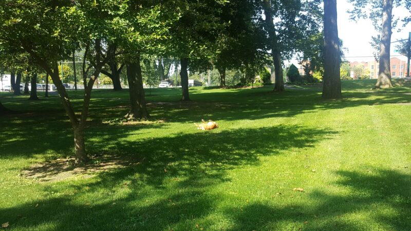 Hager Park - Hagerstown, MD