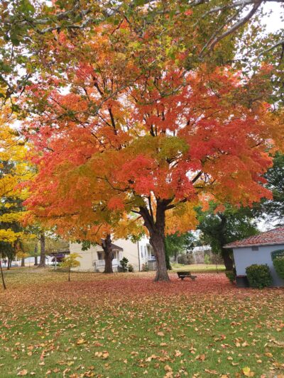 Hager Park - Hagerstown, MD