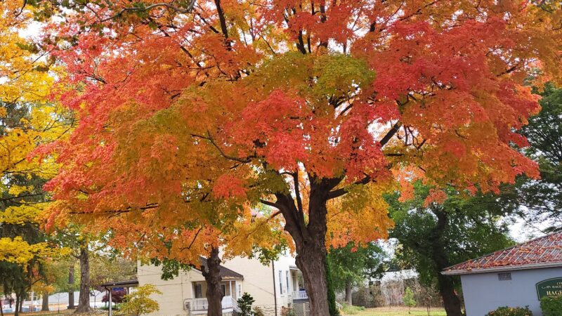 Hager Park - Hagerstown, MD