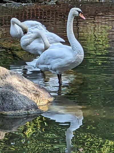 Hagerstown City Park - Hagerstown, MD