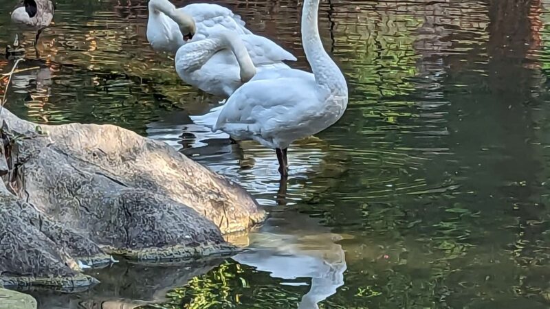 Hagerstown City Park - Hagerstown, MD