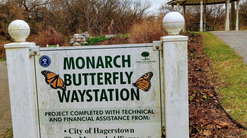 Kiwanis Park - Hagerstown, MD