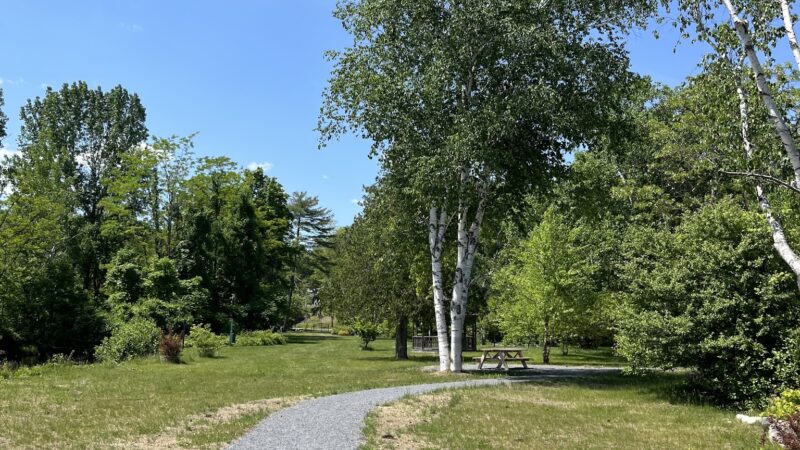 Peggy's Point - Hague, NY