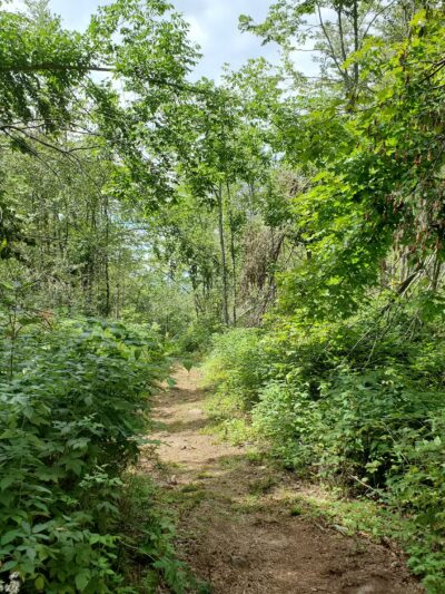 Swede Mountain Trailhead - Hague, NY