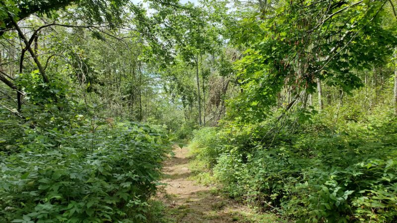 Swede Mountain Trailhead - Hague, NY