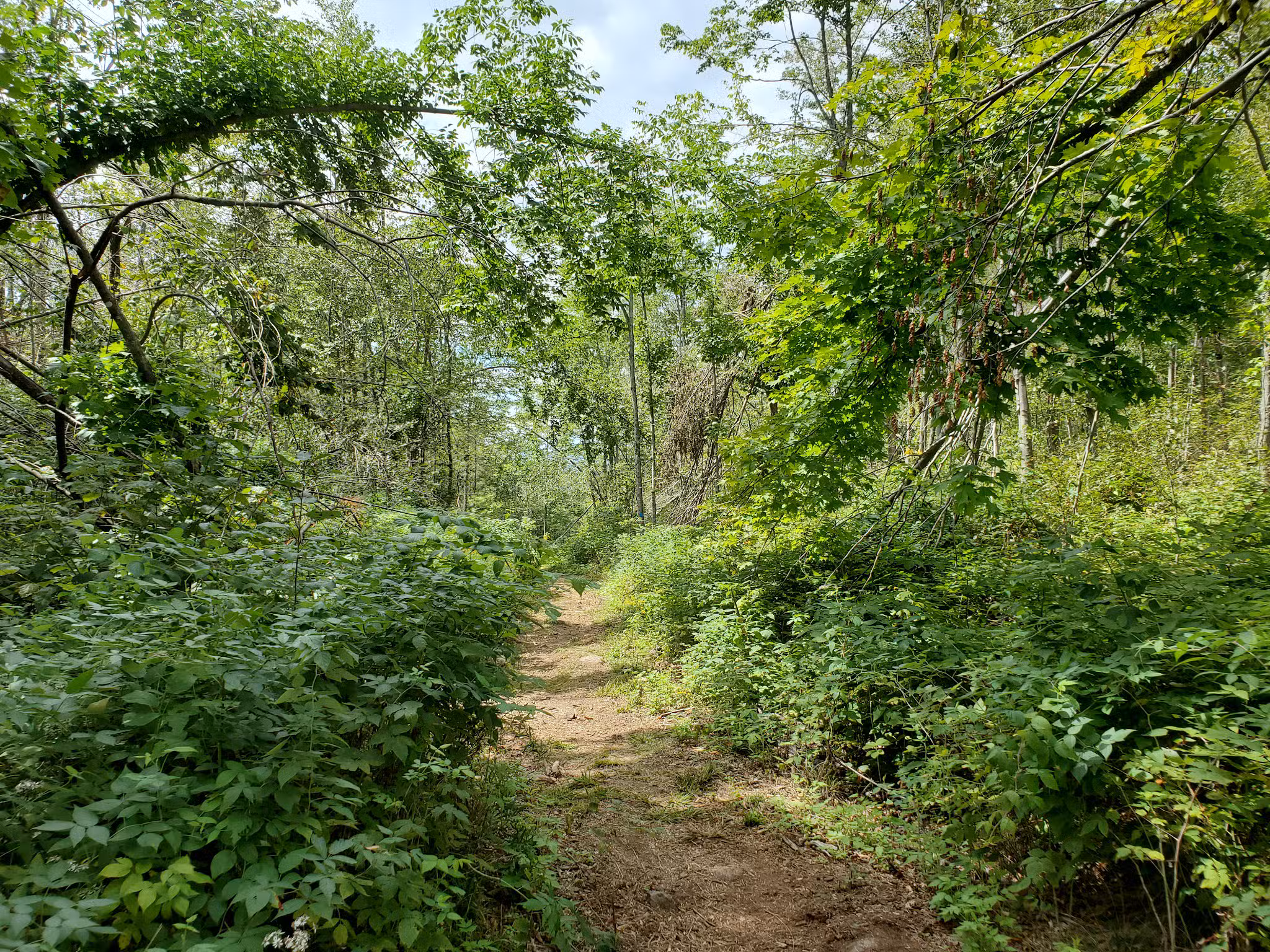 Swede Mountain Trailhead - Hague, NY