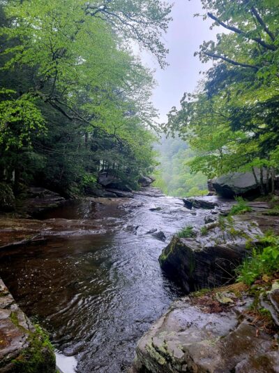 Kaaterskill Rail Trail - Haines Falls, NY