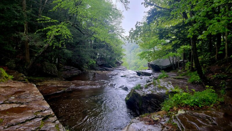Kaaterskill Rail Trail - Haines Falls, NY