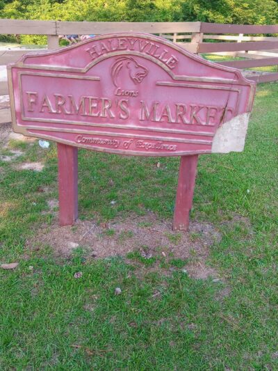 Rocky Ravine Park - Haleyville, AL