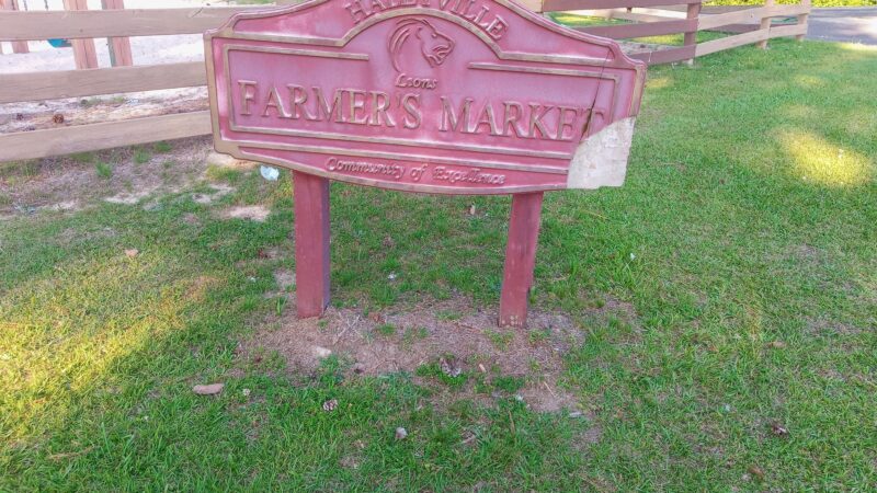 Rocky Ravine Park - Haleyville, AL