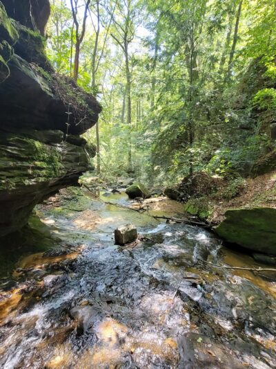 Rocky Ravine Park - Haleyville, AL