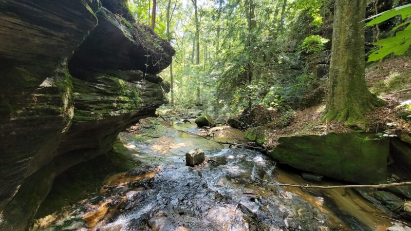 Rocky Ravine Park - Haleyville, AL